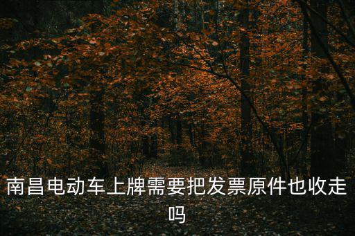 南昌電動車上牌需要把發(fā)票原件也收走嗎