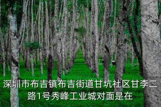 深圳市布吉鎮布吉街道甘坑社區甘李二路1號秀峰工業城對面是在