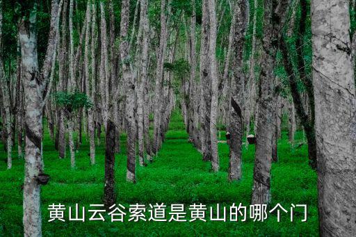 黃山云谷索道，黃山云谷索道是黃山的哪個門