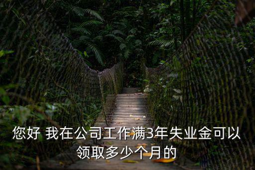 您好 我在公司工作滿3年失業金可以領取多少個月的