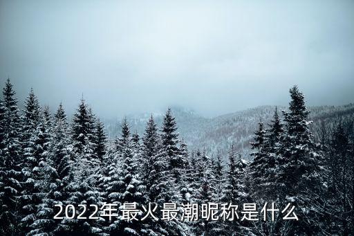 2022年一分一段表，2022年最火最潮昵稱是什么