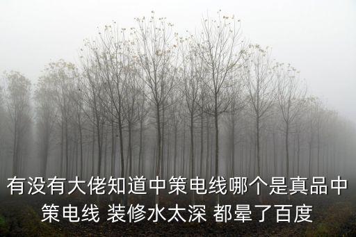 有沒有大佬知道中策電線哪個(gè)是真品中策電線 裝修水太深 都暈了百度