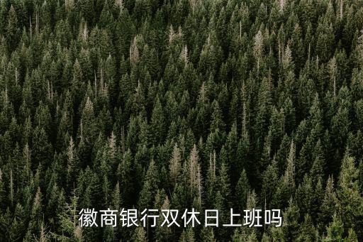 徽商銀行上班時間，蚌埠市義烏商貿城徽商銀行幾點上班