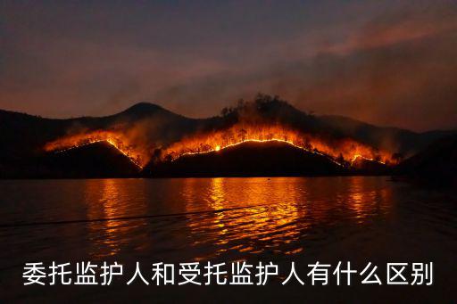 委托監護人和受托監護人有什么區別