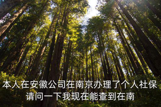 安徽社保查詢，安徽省直的人員如何查到社保里有多少錢怎么取