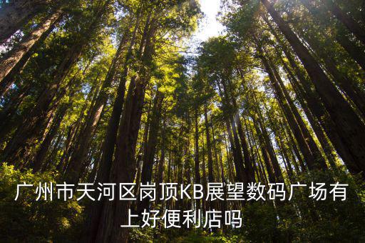 廣州市天河區(qū)崗頂KB展望數(shù)碼廣場有上好便利店嗎