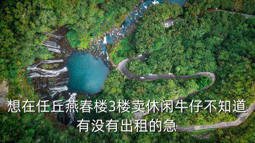 想在任丘燕春樓3樓賣休閑牛仔不知道有沒有出租的急