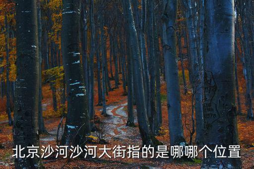 北京沙河沙河大街指的是哪哪個位置