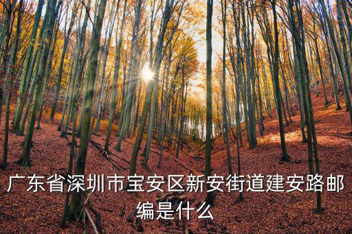 建安路，廣東省深圳市寶安區新安街道建安路郵編是什么