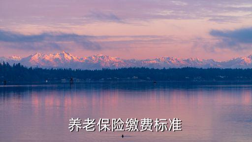 養(yǎng)老保險(xiǎn)標(biāo)準(zhǔn)，養(yǎng)老保險(xiǎn)繳費(fèi)標(biāo)準(zhǔn)