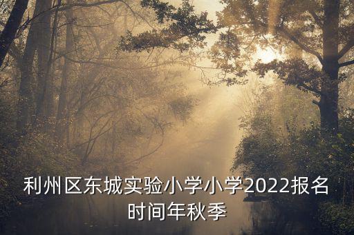 東城實驗小學(xué)，利州區(qū)東城實驗小學(xué)小學(xué)2022報名時間年秋季
