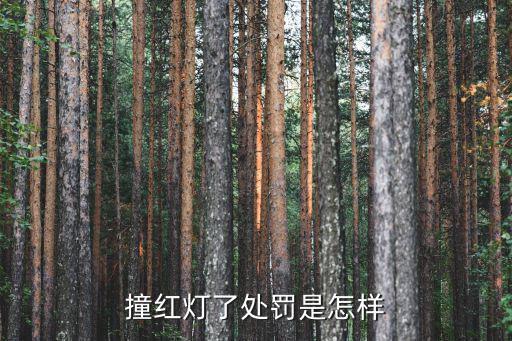 撞紅燈了處罰是怎樣