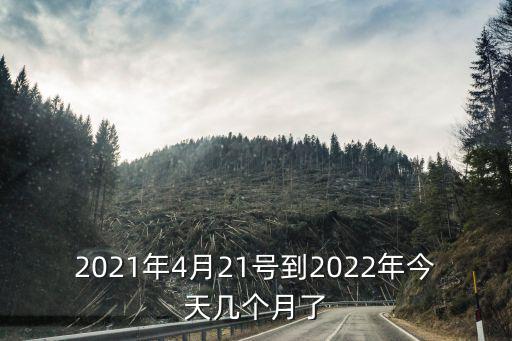 2021年4月21號(hào)到2022年今天幾個(gè)月了