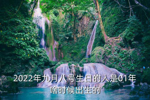 2022年九月八號生日的人是01年啥時候出生的