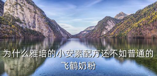 雅培的小安素，孩子要換奶粉請問雅培小安素奶粉功效與作用有哪些