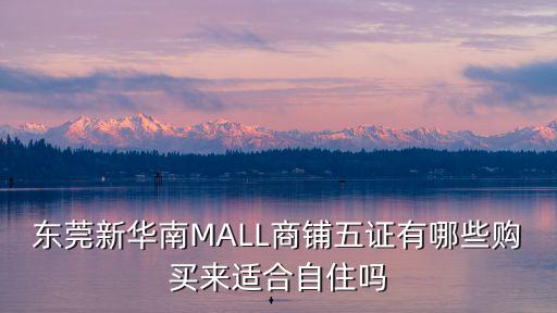 東莞新華南MALL商鋪五證有哪些購買來適合自住嗎