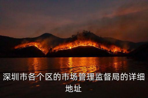 深圳市各個區(qū)的市場管理監(jiān)督局的詳細地址