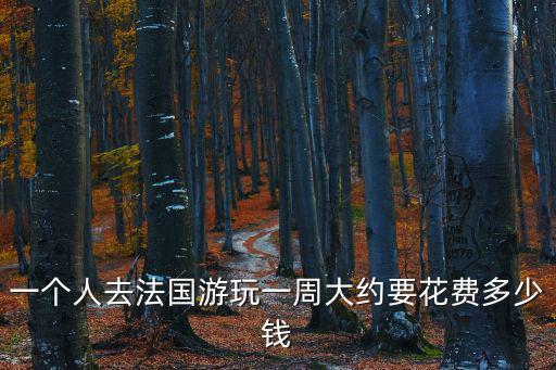 一個人去法國游玩一周大約要花費多少錢