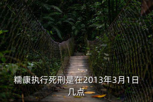 糯康執行死刑是在2013年3月1日幾點