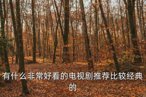 有什么非常好看的電視劇推薦比較經(jīng)典的