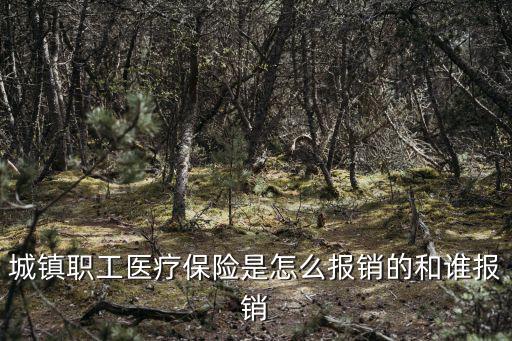 城鎮職工醫療保險是怎么報銷的和誰報銷