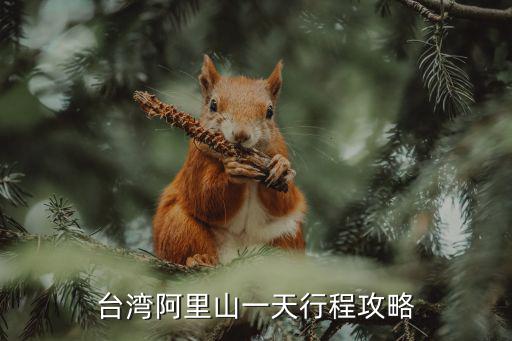 臺灣阿里山一天行程攻略