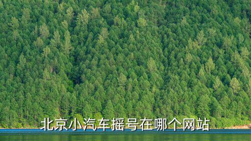 北京小汽車搖號在哪個網站