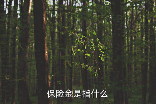 保險金是指什么