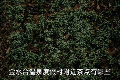 金水臺溫泉度假村，金水臺溫泉度假村距離高明有有多少公里