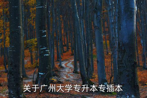 關于廣州大學專升本專插本