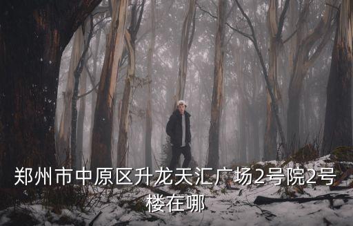 鄭州市中原區升龍天匯廣場2號院2號樓在哪