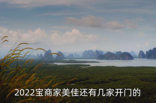 2022寶商家美佳還有幾家開門的