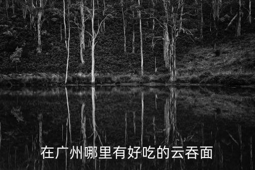 廣式云吞面，有人知道廣式云吞面里用的是什么面嗎重慶哪里有賣的那種黃的