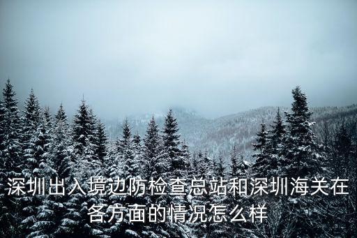 深圳出入境邊防檢查總站和深圳海關在各方面的情況怎么樣