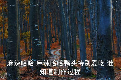 麻辣哈哈 麻辣哈哈鴨頭特別愛吃 誰知道制作過程