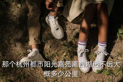 那個杭州都市陽光嘉苑離西湖遠(yuǎn)不遠(yuǎn)大概多少公里