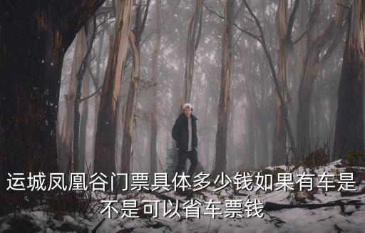 運城鳳凰谷門票具體多少錢如果有車是不是可以省車票錢
