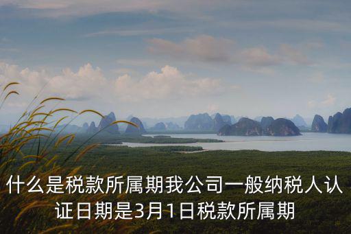 什么是稅款所屬期我公司一般納稅人認證日期是3月1日稅款所屬期