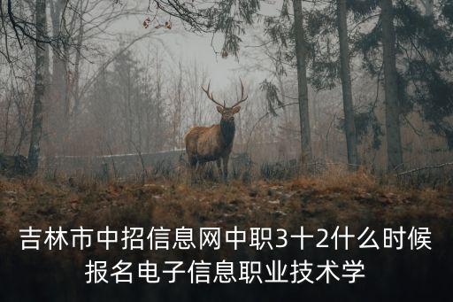 吉林市中招信息網中職3十2什么時候報名電子信息職業技術學