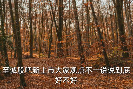 至誠股吧新上市大家觀點不一說說到底好不好