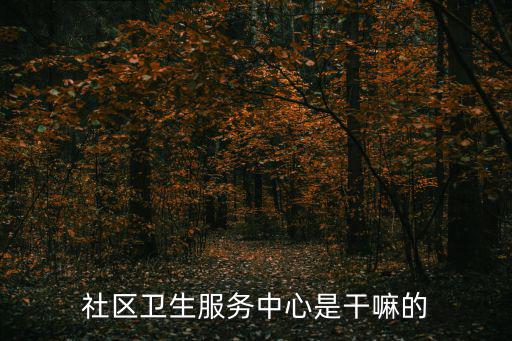 社區衛生服務中心是干嘛的