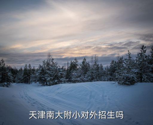 天津南大附小對(duì)外招生嗎
