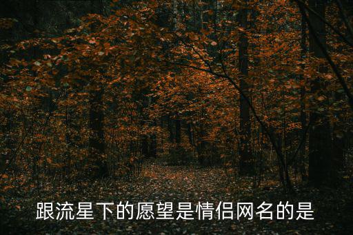 跟流星下的愿望是情侶網名的是