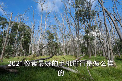 2021像素最好的手機排行是怎么樣的