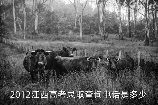 2012江西高考錄取查詢電話是多少