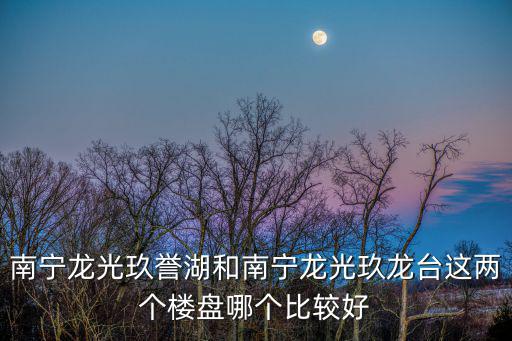南寧龍光玖譽湖和南寧龍光玖龍臺這兩個樓盤哪個比較好