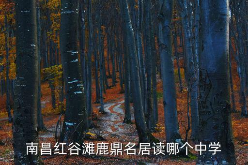 鹿璟名居，南昌紅谷灘鹿鼎名居讀哪個中學