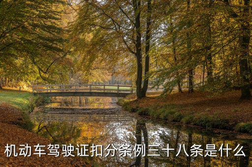 駕駛證扣分新規(guī)定，c1駕駛證記分周期新交規(guī)是怎樣規(guī)定的