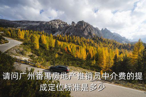 請(qǐng)問廣州番禺房地產(chǎn)推銷員中介費(fèi)的提成定位標(biāo)準(zhǔn)是多少