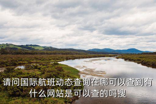 請問國際航班動態查詢在哪可以查到有什么網站是可以查的嗎搜